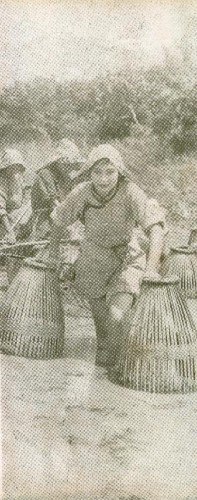 1933-11-01