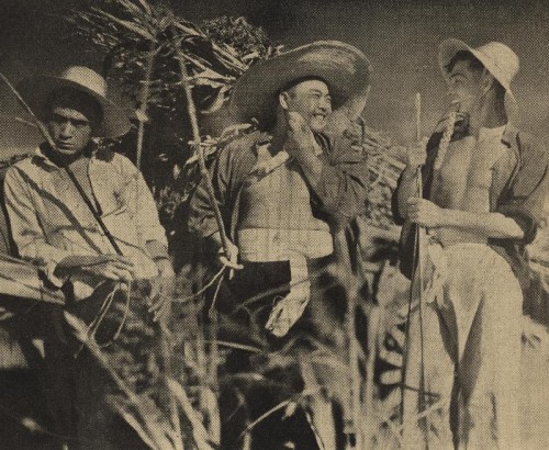 1936-11-05
