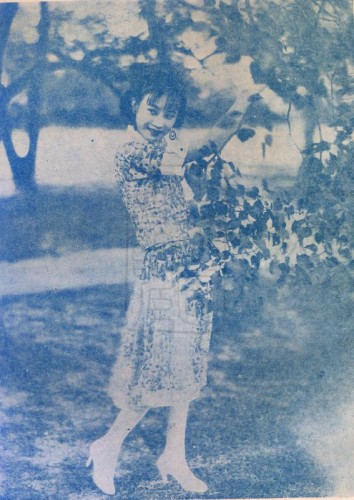 1929-11-15