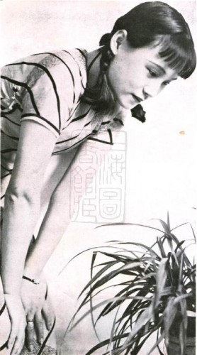 1935-11-01