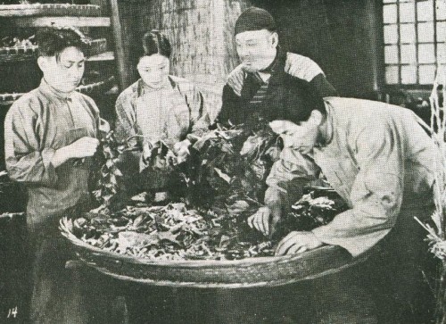 1933-08-15